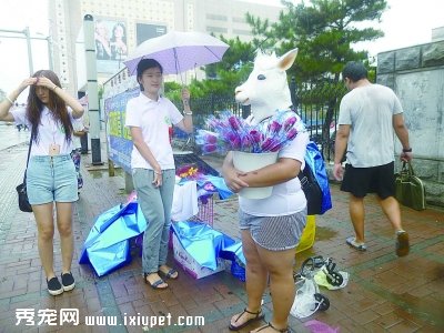 Ϊ��Ǯ���β������˶��� Ů����Ϧ��ð������