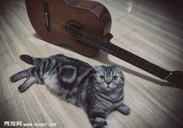 è�����Сè����Ҹ�����