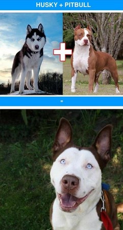 ��Ѫ�������̵㡡��ʿ��ӿ»��ɰ�ָ���Ʊ�