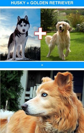 ��Ѫ�������̵㡡��ʿ��ӿ»��ɰ�ָ���Ʊ�
