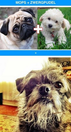 ��Ѫ�������̵㡡��ʿ��ӿ»��ɰ�ָ���Ʊ�