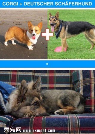 ��Ѫ�������̵㡡��ʿ��ӿ»��ɰ�ָ���Ʊ�