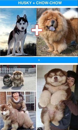 ��Ѫ�������̵㡡��ʿ��ӿ»��ɰ�ָ���Ʊ�