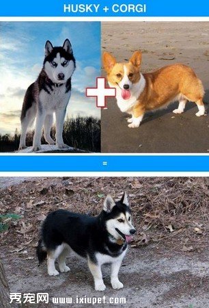 ��Ѫ�������̵㡡��ʿ��ӿ»��ɰ�ָ���Ʊ�