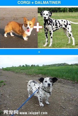 ��Ѫ�������̵㡡��ʿ��ӿ»��ɰ�ָ���Ʊ�