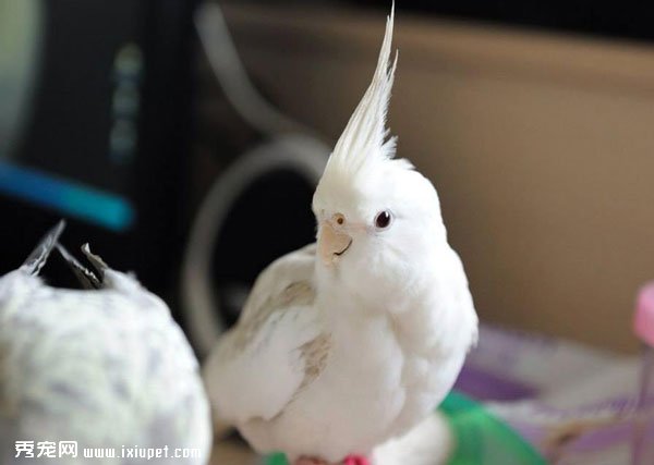 ̫���������W�^����ɫ���ּ�����ע������