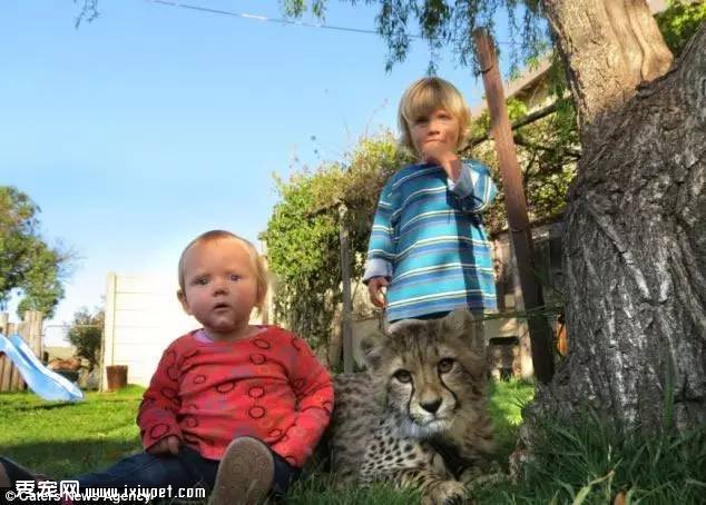 �Ϸ�Hein Schoeman�ҵĳ����Ա� ��ҳ��ﲻ������