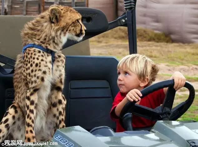 �Ϸ�Hein Schoeman�ҵĳ����Ա� ��ҳ��ﲻ������