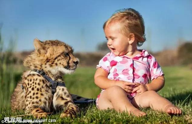 �Ϸ�Hein Schoeman�ҵĳ����Ա� ��ҳ��ﲻ������