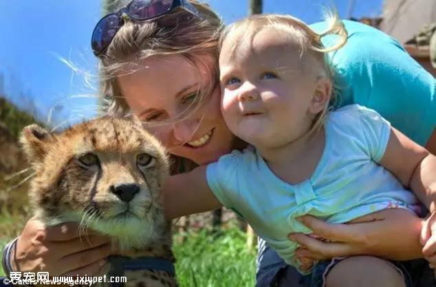 �Ϸ�Hein Schoeman�ҵĳ����Ա� ��ҳ��ﲻ������