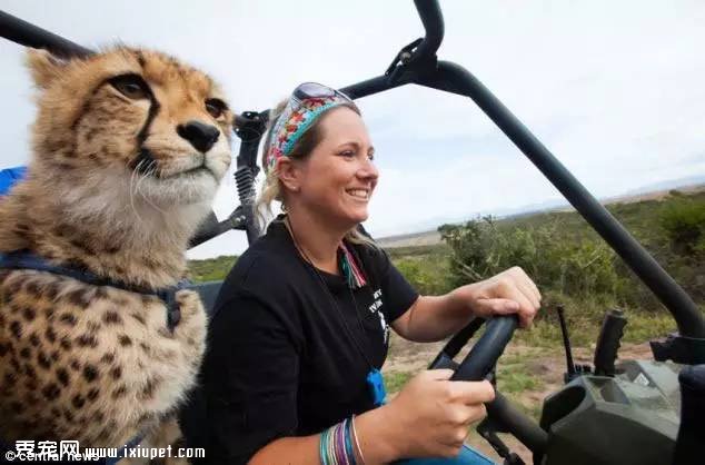 �Ϸ�Hein Schoeman�ҵĳ����Ա� ��ҳ��ﲻ������