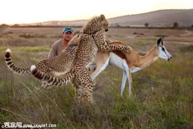 �Ϸ�Hein Schoeman�ҵĳ����Ա� ��ҳ��ﲻ������