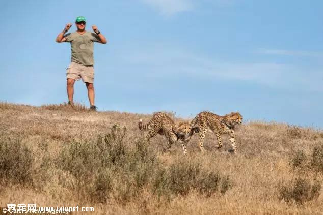 �Ϸ�Hein Schoeman�ҵĳ����Ա� ��ҳ��ﲻ������