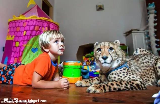 �Ϸ�Hein Schoeman�ҵĳ����Ա� ��ҳ��ﲻ������