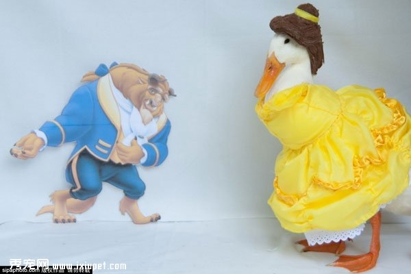 ����20����ŮΪ����ѼGuus���㳬������ͼ�ߺ����磨��ͼ��