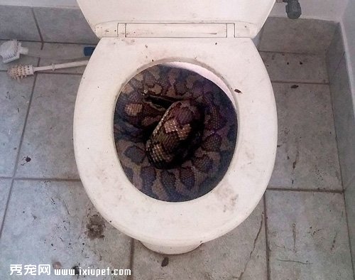 �Ĵ�����3�׳������̾��ھ�����Ͱ�У�ͼ��