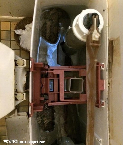 �Ĵ�����3�׳������̾��ھ�����Ͱ�У�ͼ��