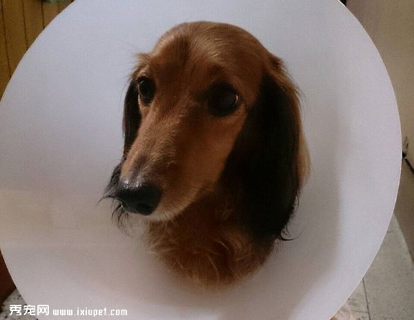 �������ڼ������Σ����Ԥ������