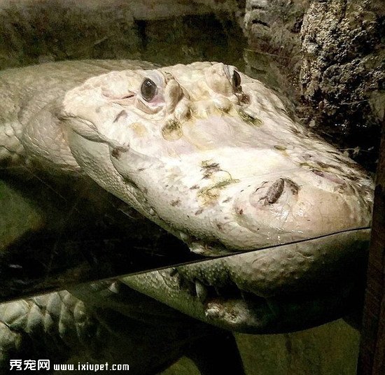 ����ˮ���28�꺱������ȥ�� �ڶ��������԰���