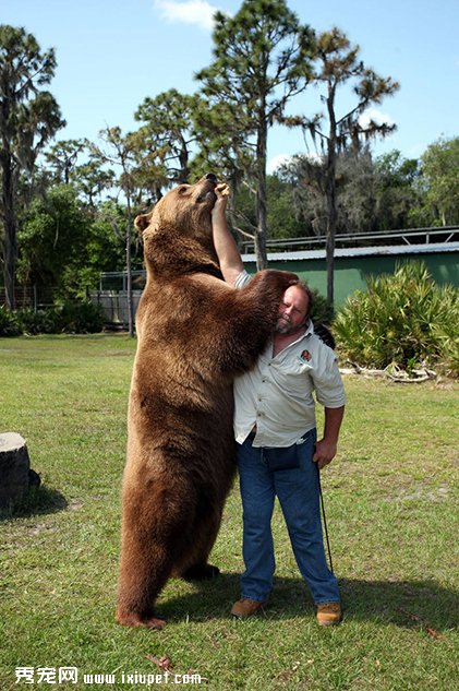 ����ѱ��������13ͷ�ܵ�����
