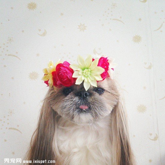 ʱ��С������ٱ䷢�� ���ȿɰ��������