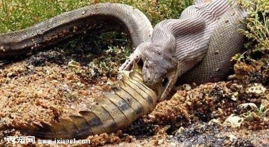 ������ս�����쳣 ����ս����ͬ���ھ�