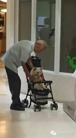 ���������ϲ���������Ӥ����������ȥ������һ���ܲ����ĺ���