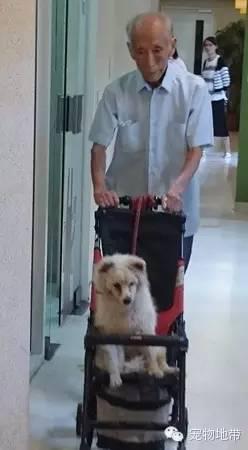 ���������ϲ���������Ӥ����������ȥ������һ���ܲ����ĺ���