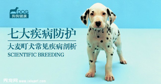 �����Ȯ�����ߴ󼲲�֢״��Ԥ��