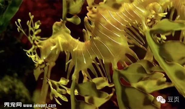 25������αװ�Ķ�������Ѿ��Ǵ�ʦ�ˣ���