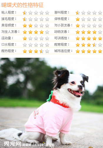2015�̵�����ѵ���Ĺ������а� ��ϲ����һ����