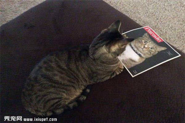 ���������մ��ع⣬��Ƭ��֤������������ǿ��ֵ���Դ