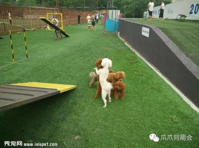 ����ʮ���޹�ʤ�أ����׼�����ûȥ��