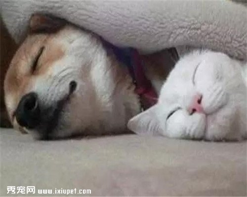 ������֪ʶ ��Ϊ����Ĺ�������������
