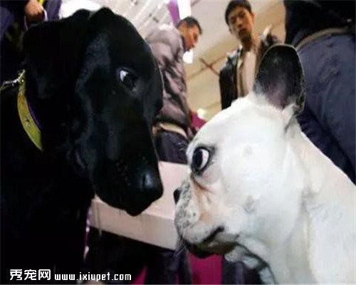 ������֪ʶ ��Ϊ����Ĺ�������������