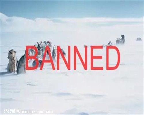 ������֪ʶ ��Ϊ����Ĺ�������������