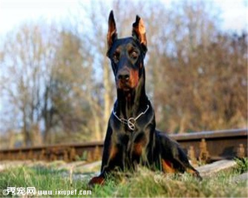 �����ҳϵĹ������а񣬹�����������ʵ������