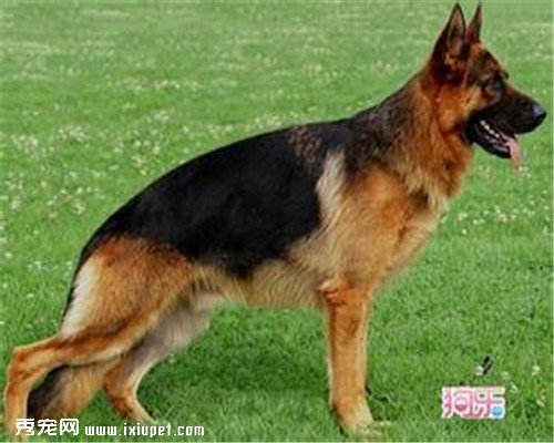 �����ҳϵĹ������а񣬹�����������ʵ������
