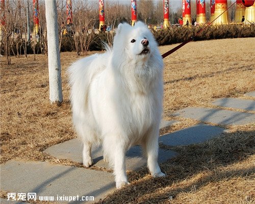 ���ܻ�ӭ�Ĺ������а����ǿ��ǳ����Ĵ������أ�