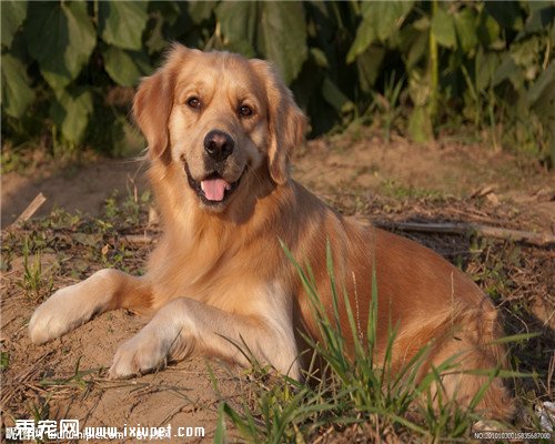 ���ܻ�ӭ�Ĺ������а����ǿ��ǳ����Ĵ������أ�