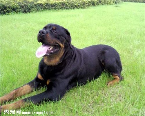 ����еĹ������а񣬳�Ĭ�ǽ𰡣�