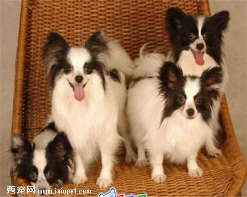 ��ζ����Ĺ������а񣬺��ʺϰ��ɾ�����ι���Ĺ�����