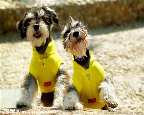 �ɰ��������а�,��Щ���������ȷ�������