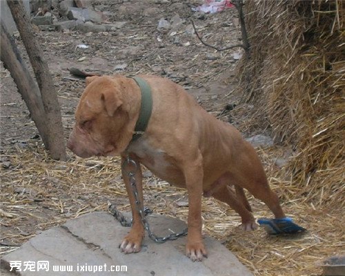 ��Ư���Ĺ������а񣬹����еĴ�����Ӵ��
