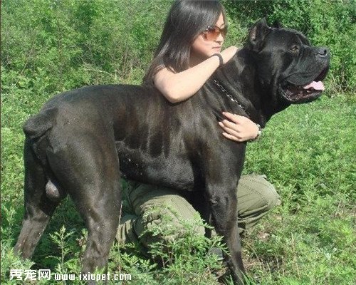 ��Ư���Ĺ������а񣬹����еĴ�����Ӵ��