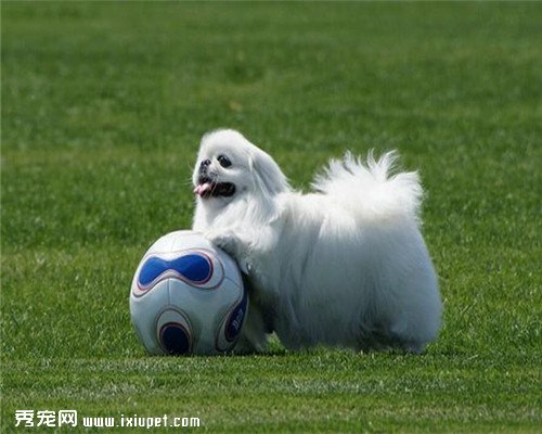 ����������а񣬳����Ĺ���������