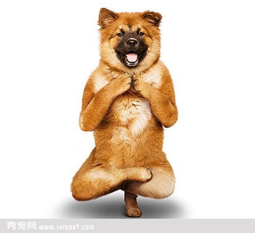 ���ܹ�������������־�ѧ