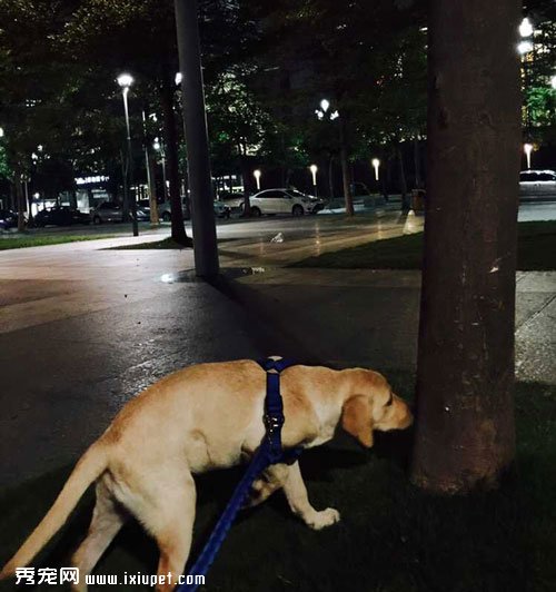 4���°�Ȯ��������Ѱ��������|�������г�����Ʒ�͹�����ͼ��