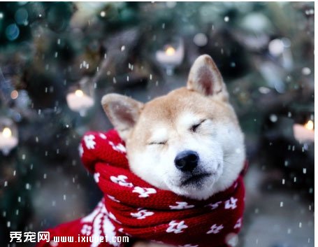 ����Ӧ����λ���������
