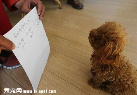 ��һ���������Ĺ��� ����һ�����������~~~